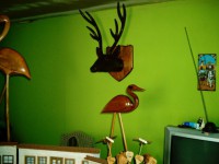 venado